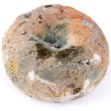 Bagel